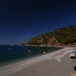 Kabak Avalon * Faralya