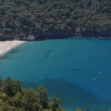 بنغلات كاباك أفالون بيت خشبي *