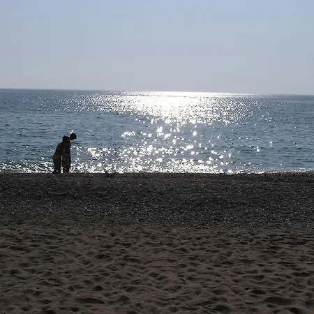 بنغلات كاباك أفالون