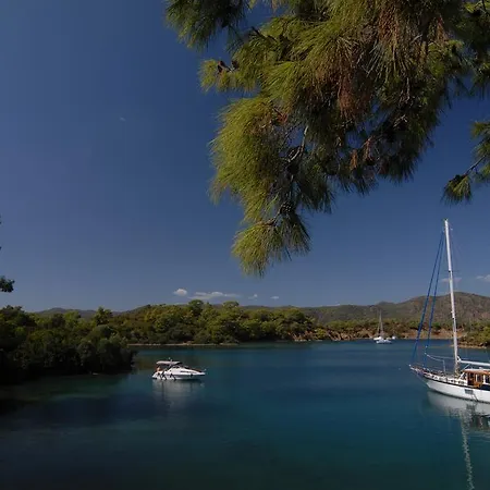 Lodge Kabak Avalon