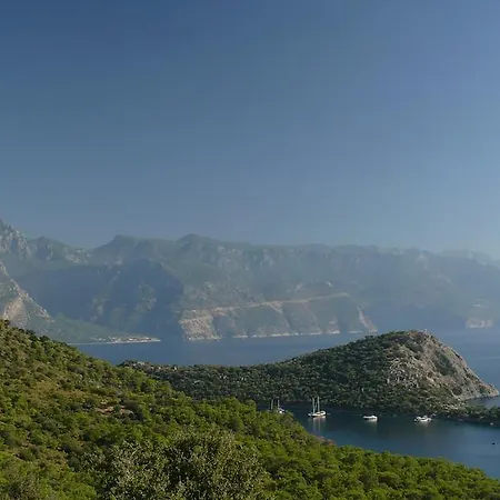 بيت خشبي بنغلات كاباك أفالون فاراليا