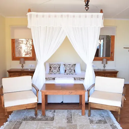 بنغلات كاباك أفالون فاراليا