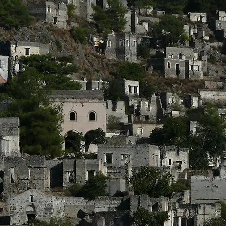 بيت خشبي بنغلات كاباك أفالون *