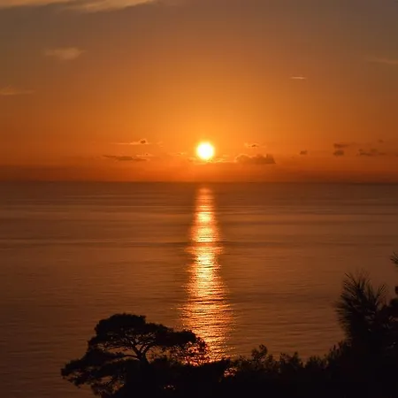 بنغلات كاباك أفالون بيت خشبي *