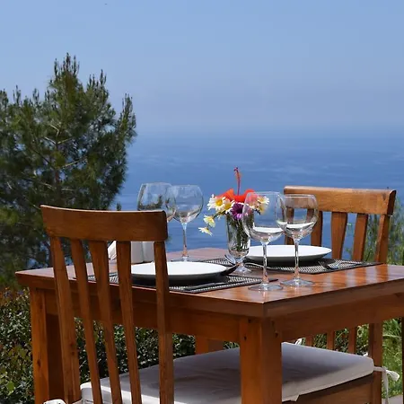 Kabak Avalon