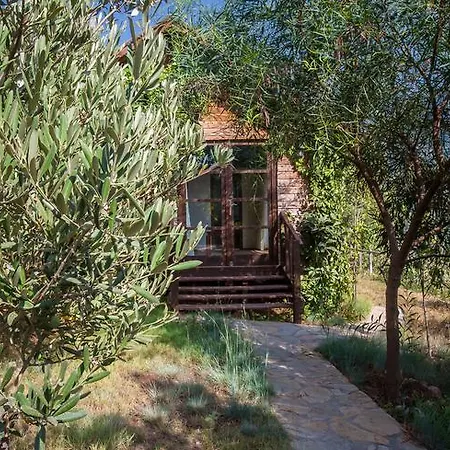 Lodge Kabak Avalon