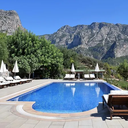 Kabak Avalon Faralya