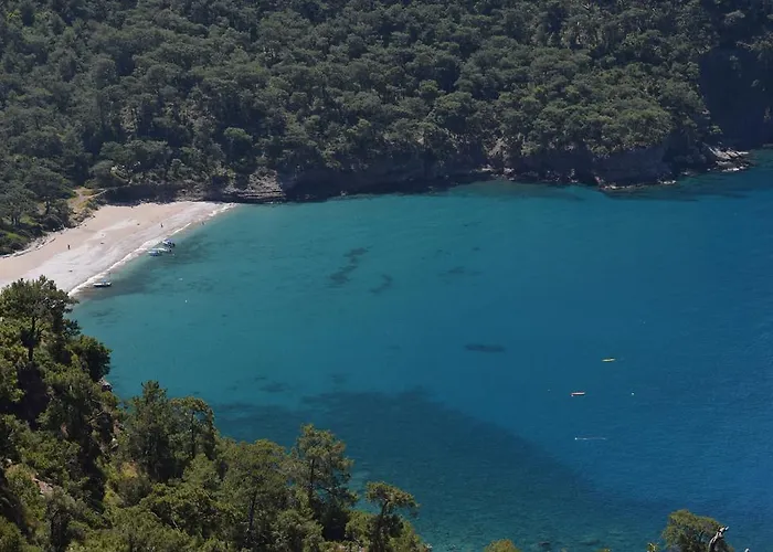 Kabak Avalon Lodge *