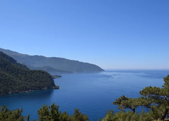 Kabak Avalon * Faralya