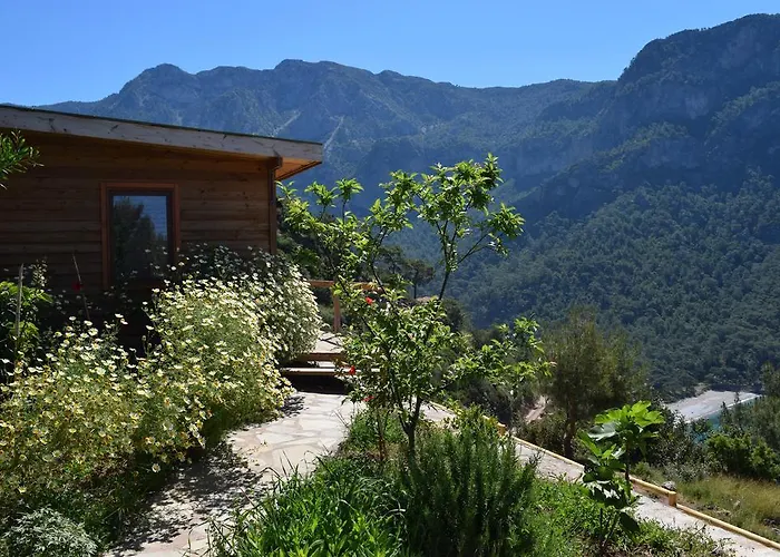 Lodge Kabak Avalon *