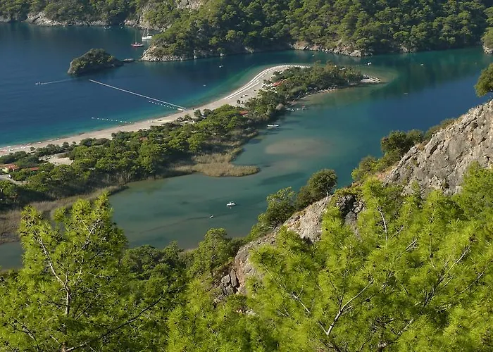 Kabak Avalon Faralya