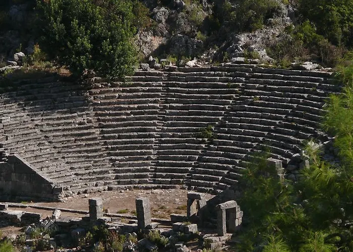 Kabak Avalon Faralya