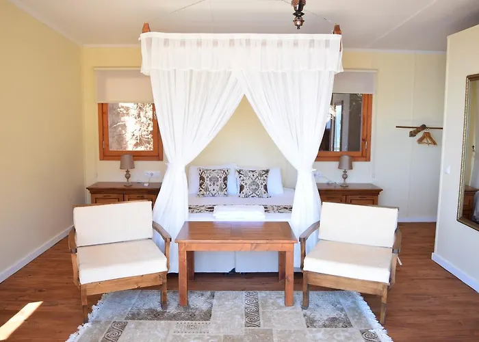 Kabak Avalon Faralya