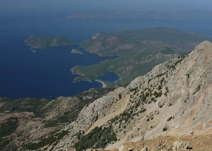 Kabak Avalon Faralya