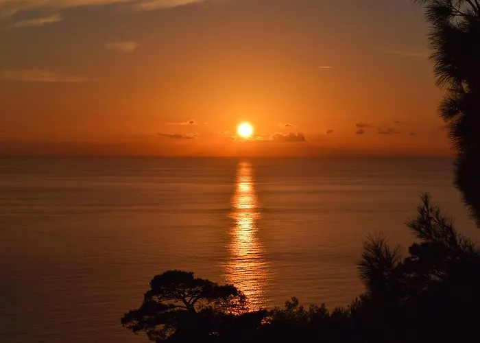 Kabak Avalon Lodge *