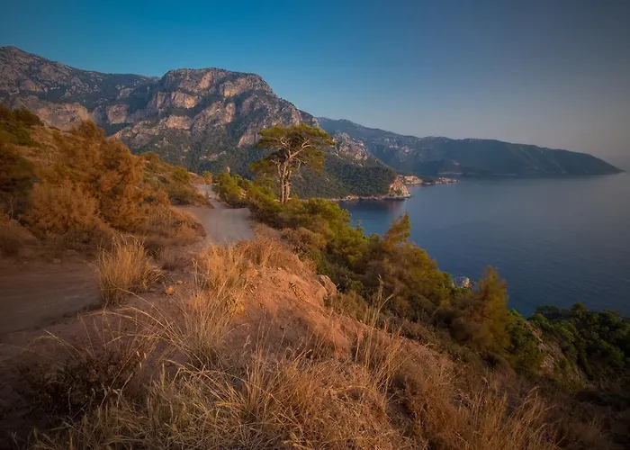 Lodge Kabak Avalon *