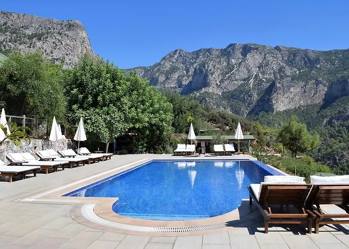 Kabak Avalon Faralya