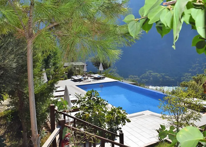 Kabak Avalon Faralya