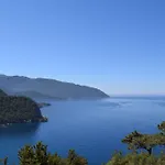 Kabak Avalon * 파랄리아