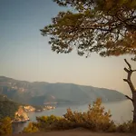 롯지 Kabak Avalon