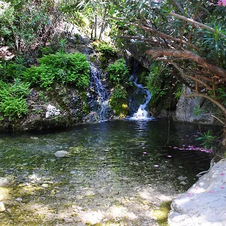 Kabak Avalon Lodge *