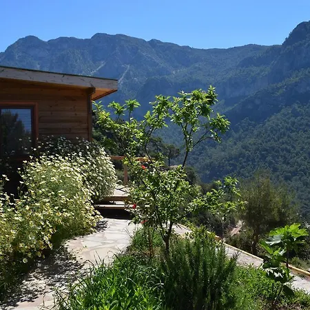 Lodge Kabak Avalon *