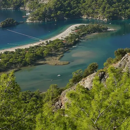 Kabak Avalon Faralya