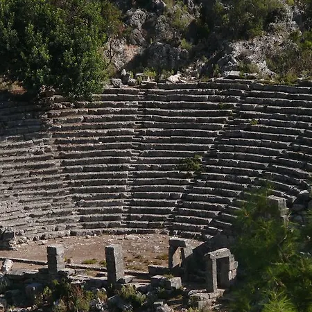 Kabak Avalon Faralya