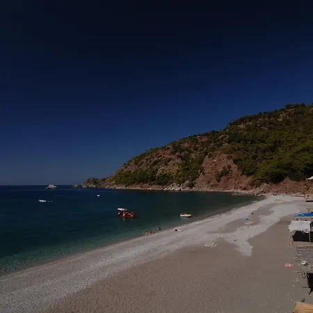 Kabak Avalon * פאראליה
