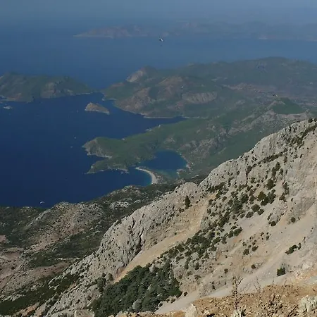 Kabak Avalon Faralya