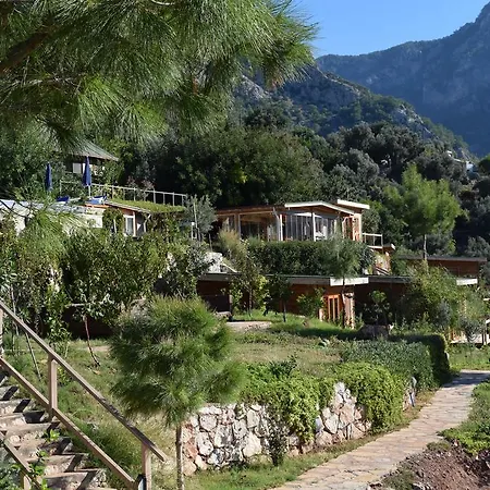 بنغلات كاباك أفالون *