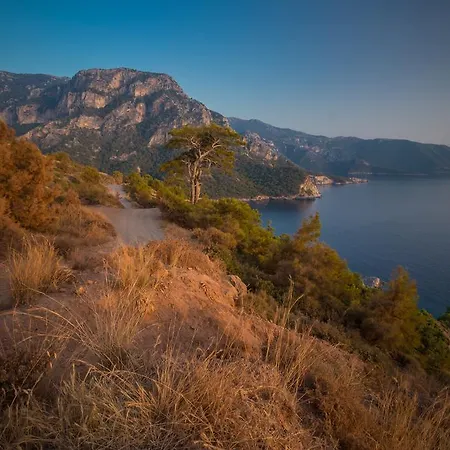 Lodge Kabak Avalon *