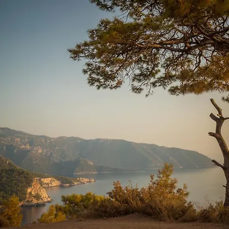 Lodge Kabak Avalon