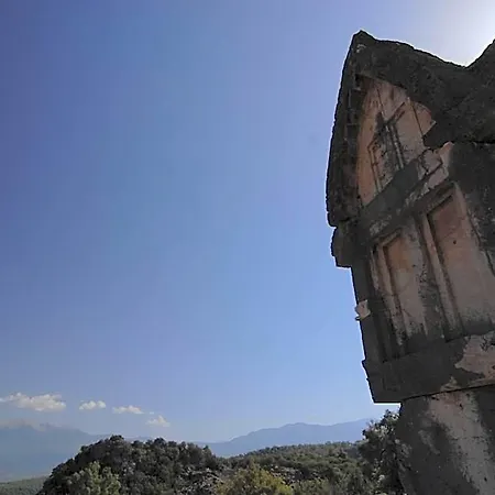 Kabak Avalon פאראליה