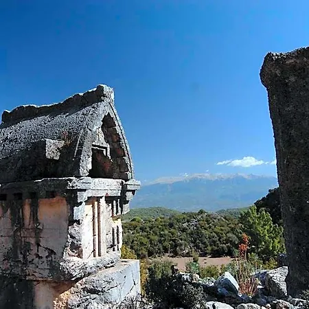 Kabak Avalon פאראליה
