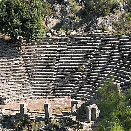 אכסניה Kabak Avalon פאראליה