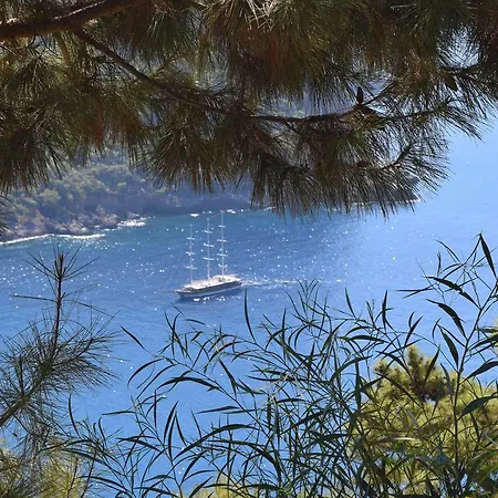 Kabak Avalon Lodge