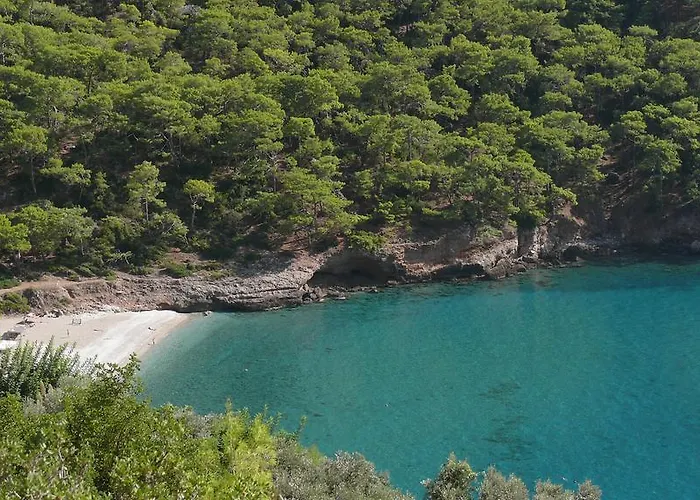 Kabak Avalon Faralya