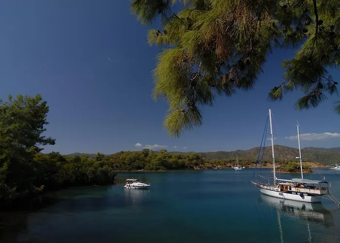 Gerendaház Kabak Avalon