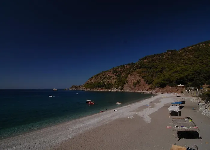 Kabak Avalon * Faralya